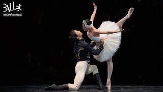 Ballet’s greatest love story returns | Swan Lake at San Francisco Ballet Resimi