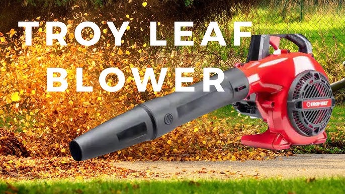 TB272V Leaf Blower / Vacuum - 41AR272V766