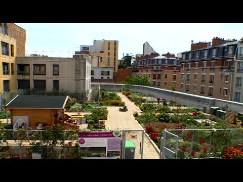 Vidéo: La Table Et La Maison: Une Maisonnette Avec Un Toit Vert à Rotterdam