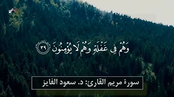 سورة مريم القارى د / سعود الفايز