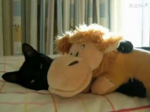 思い出ぽん！ じじ1