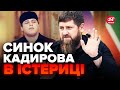 🤡Синка КАДИРОВА поставили на місце! ПРОТИ ДОН-ДОНА пішли...