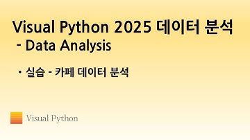 [Visual Python 2025 Data Analysis] #13. 실습 - 카페 데이터 분석 | 비주얼 파이썬
