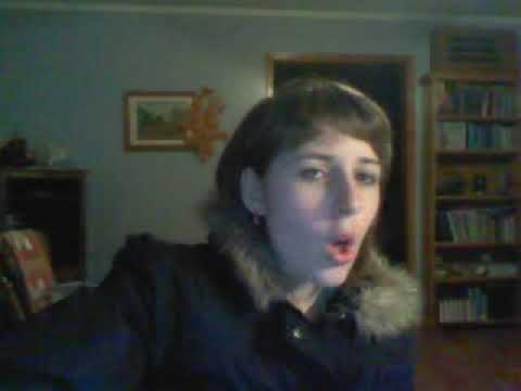 Pour Un Instant (acoustic Cover)