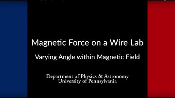 Magnetic Force on a Wire: Varying Angle in Magnetic Field