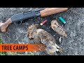 Ruffed Grouse Hunting Public Land Southern Ontario