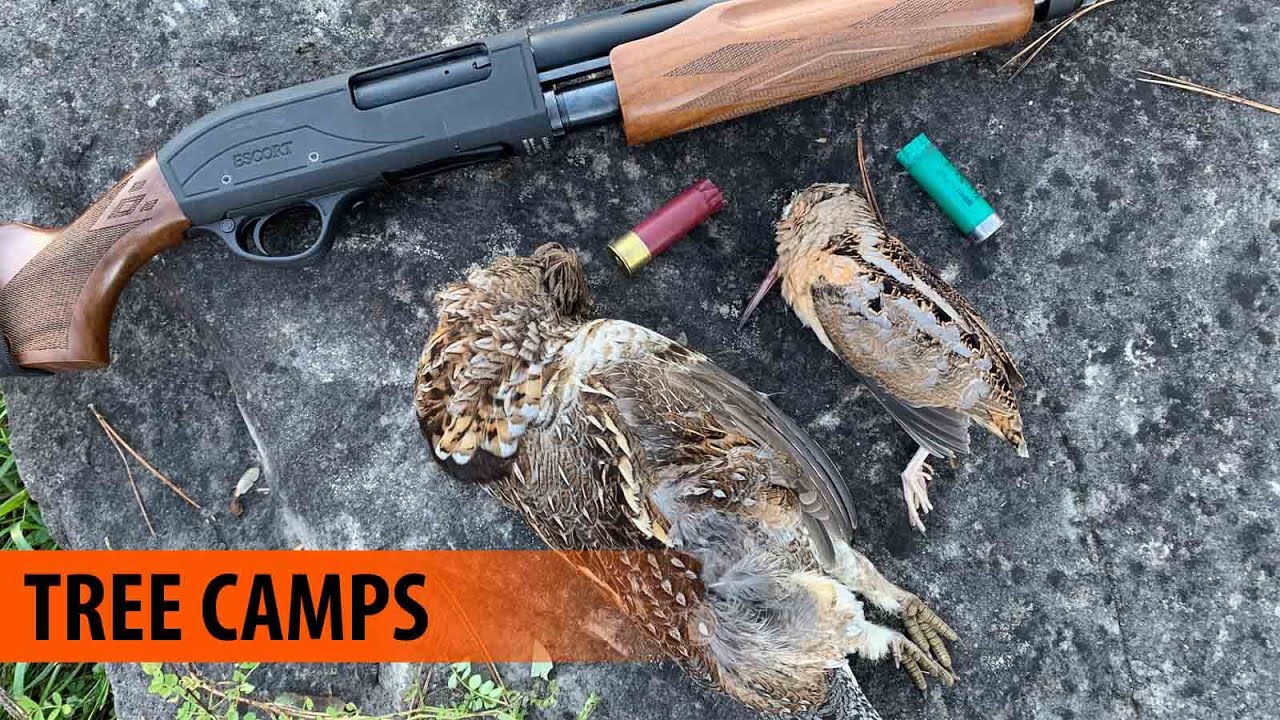 Ruffed Grouse Hunting Public Land Southern Ontario YouTube