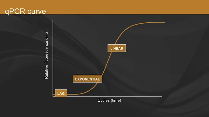 Overview of qPCR