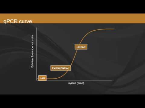 Vídeo: La Preamplificación De ARN Permite Estudios De Expresión Génica RT-qPCR A Gran Escala Sobre Cantidades Limitadas De Muestra