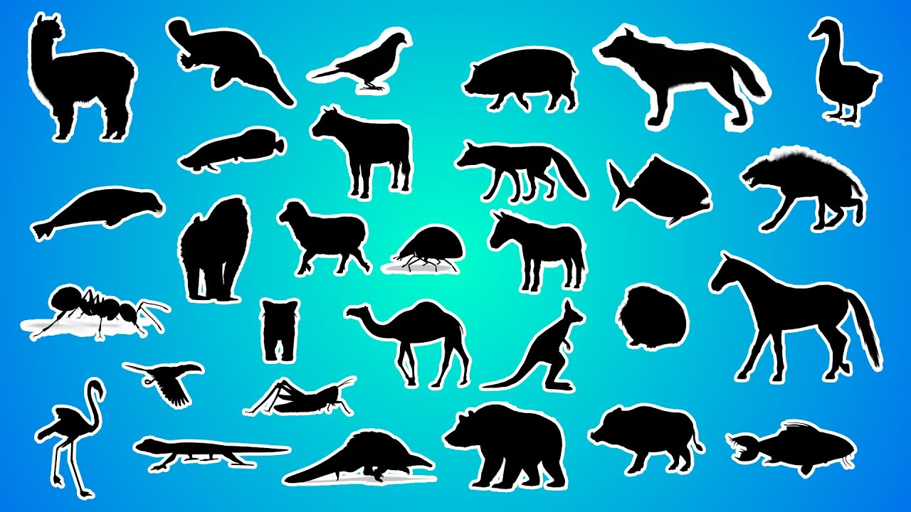 🐾✨ Adivinhe a Sombra do Animal! Você Acerta? 😱