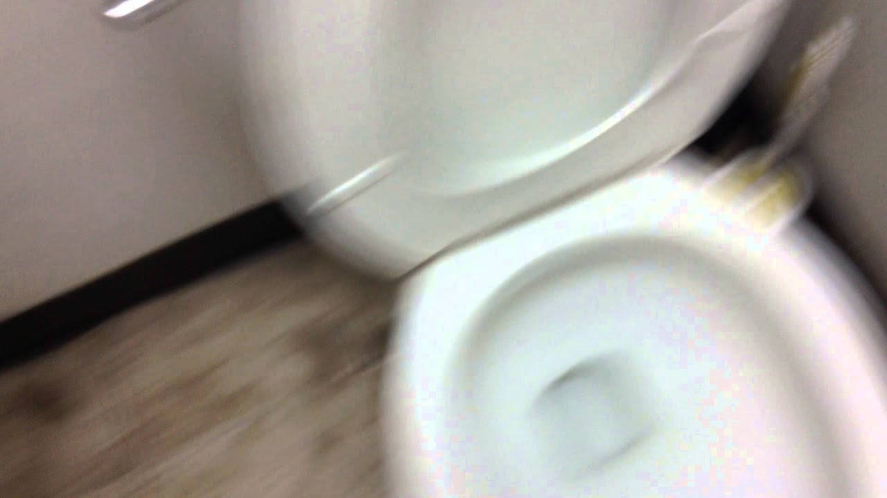 Kohler Wellworth pressure assisted toilet YouTube