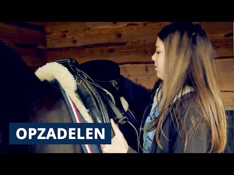 Video: Een paard verzorgen met een verzorgingsset