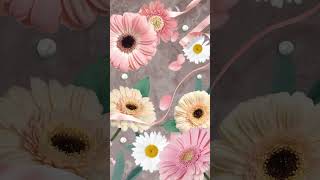 (Video-WP)[GET](Premium) Soft old gerbera flowers(Video/AOD/Sound) screenshot 1
