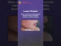 What your Acne is trying to tell you? | Skin Warning Signs | Ayushman Skin and Cosmetology Centre
