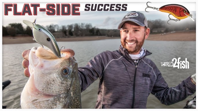 How Flat-Sided Crankbaits Excel for Springtime Bass 