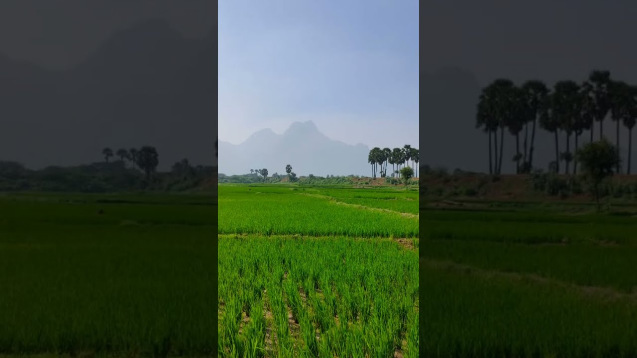 சாத்தானால் செய்ய முடியாததை ஒரு பெண் செய்வாள்.