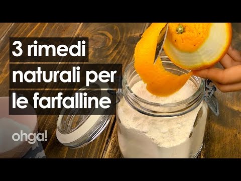 Video: Rimedio contro le tarme. Come sbarazzarsi delle tarme nell'appartamento