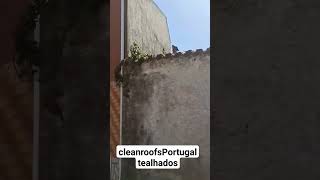 #coimbra #limpeza #aveiro #telhados #portugal #curia