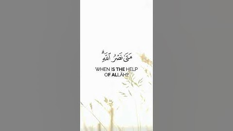 متى نصر الله ألا إن نصر الله قريب | محمد اللحيدان قران سورة البقرة بدون حقوق #قران_كريم #المصحف