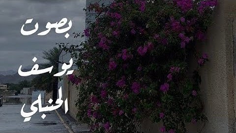 القارئ يوسف الحنبلي || للتركيز والراحة 💜🌸