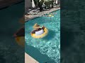 Comment “FLOAT” for the link! ☀️🌊 #pool #floating #summer