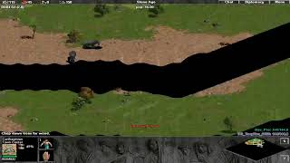 AOE2 Scout and Reconnaissance