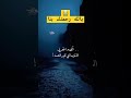 قبس من دعاء كميل بن زياد أداء ياسر المطري
