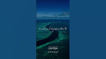 "أفرأيت الذي كفر بآياتنا وقال لأوتين مالا وولدا......" سورة مريم |الشيخ\ محمود خليل الحصري| #المصحف