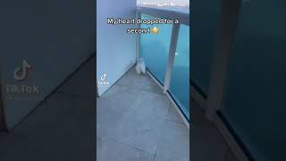 They Had Us In The First Half Ngl shorts