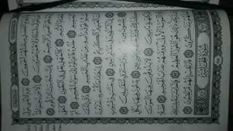 إن شجرة الزقوم سورة الدخان