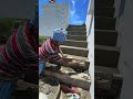 Stairs Plastering #shorts #stair