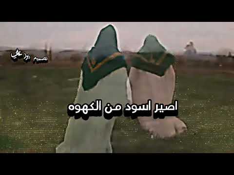 ادور عن جرح بي خير علاء التميمي حالات واتساب حسينيه 2024 ستوري حزين حالات انستقرام لطميات 2024