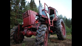 Как я трактор Митю покупал. Трактор Т40АМ за 100 тысяч рублей. Запуск после 6 лет простоя в бурьяне.