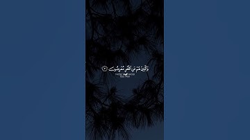 سورة المؤمنون 🎧❤️تلاوة خاشعه 😍🍁  القارى@علي_الدليمي-95  #اكسبلور #المصحف #راحة_نفسية #دويتو