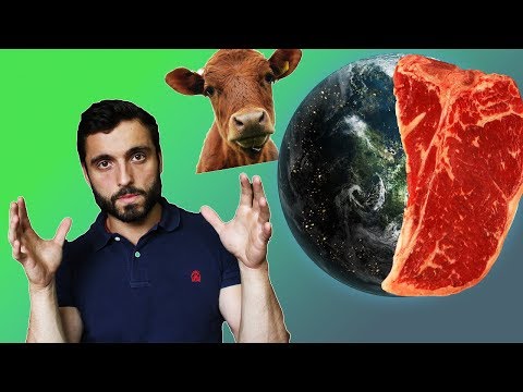 Vídeo: 4 Impactos Ambientais De Comer Um Hambúrguer