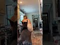 ویولاها به جکسی حمله کردن