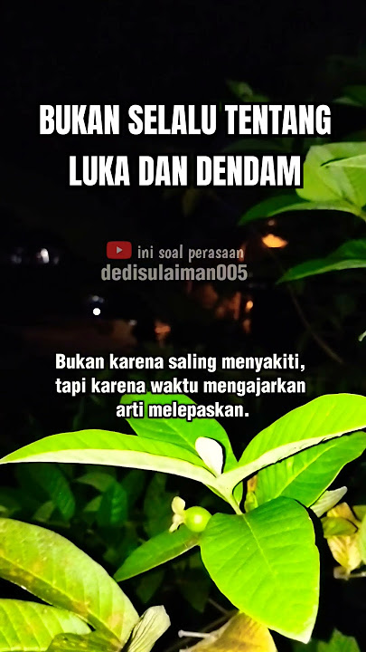 Bukan selalu tentang luka dan dendam.... #perasaan #galau #shortvideo