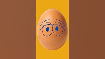 Which Came First: The Chicken or the Egg? 🥚🐔 The Science-Backed Answer !