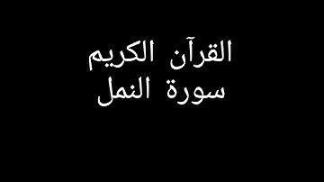 سورة النمل مشاري العفاسي #قران_كريم #قرآن #تلاوات_خاشعة #تلاوة_خاشعة #تلاوة_هادئة #سورة_النمل