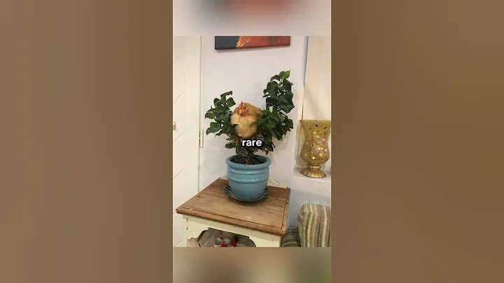 Rare images that will leave you speechless [Part 7] #shorts