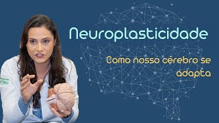 O que é neuroplasticidade?