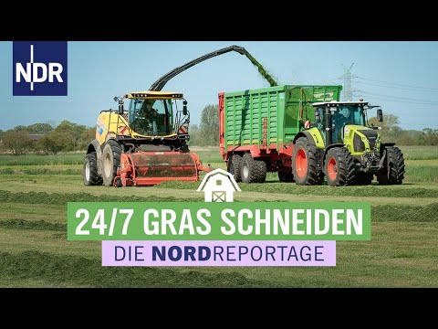 Feinhäcksler verarbeitet Gartenabfall in Dünger | Einfach genial | MDR