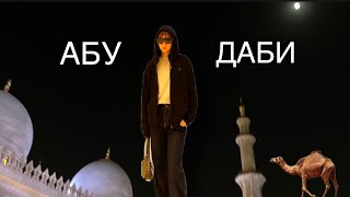 спонтанно улетели в ОАЭ | ем каштаны, виар очки