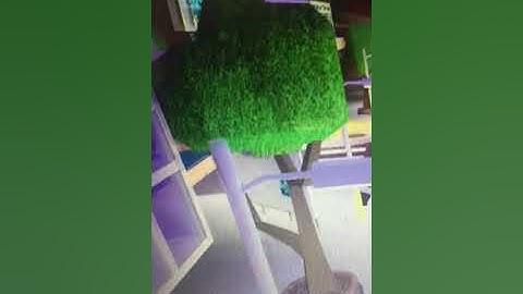 Funky Friday: QT Update!