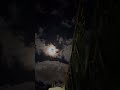 نضحك ساعة نبكي يوم يا خوفي ان العمر يمر  بدر العزي نجومي