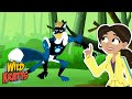 Fox Adventure Quiz