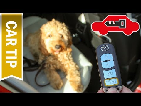 Hund im Auto: Alarmanlage ausschalten! / Innenraumüberwachung ausschalten