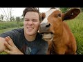 Did You Ever Hug a Cow? 35 Amazing Love Between Animals and Humans 💖