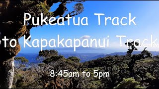 Pukeatua Track to Kapakapanui Track - Waikanae - Tararua Forest Park - 4K