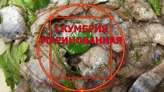 СКУМБРИЯ МАРИНОВАННАЯ ,ВОСХИТИТЕЛЬНАЯ!!!